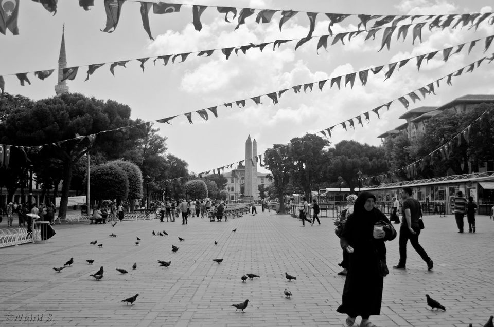 Photo of Turkey Touchdown : A half-day trip to Istanbul 10/48 by N S