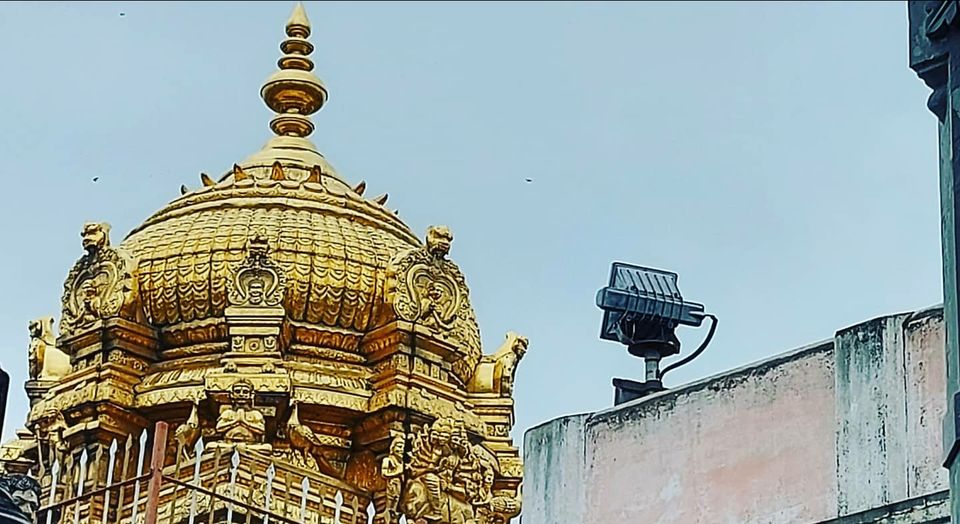 Photo of Palani murugan temple-Tamilnadu by Siri