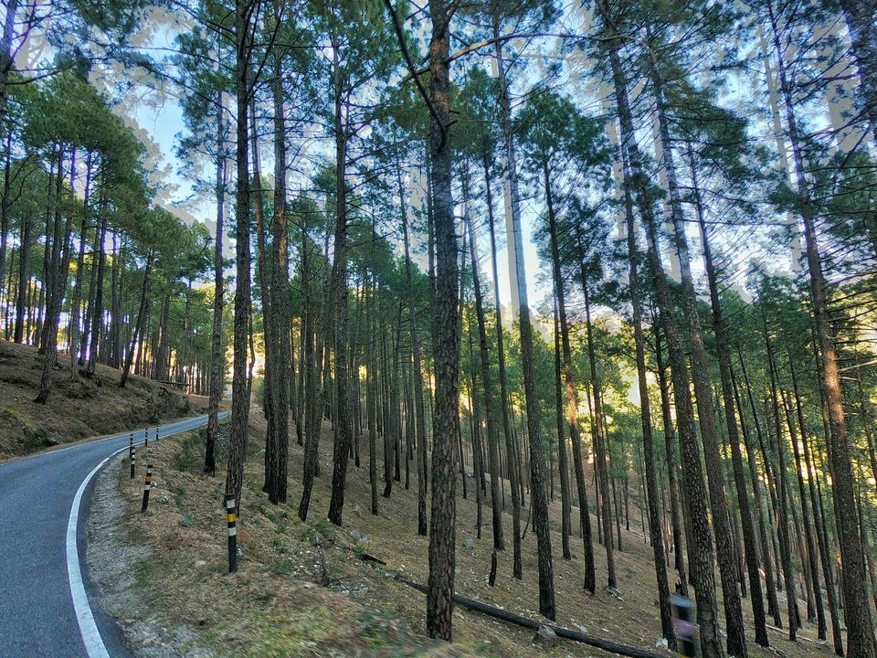 Photo of Trek to KEDARKANTHA - The White Heaven 5/61 by Krishnendu Ghosh