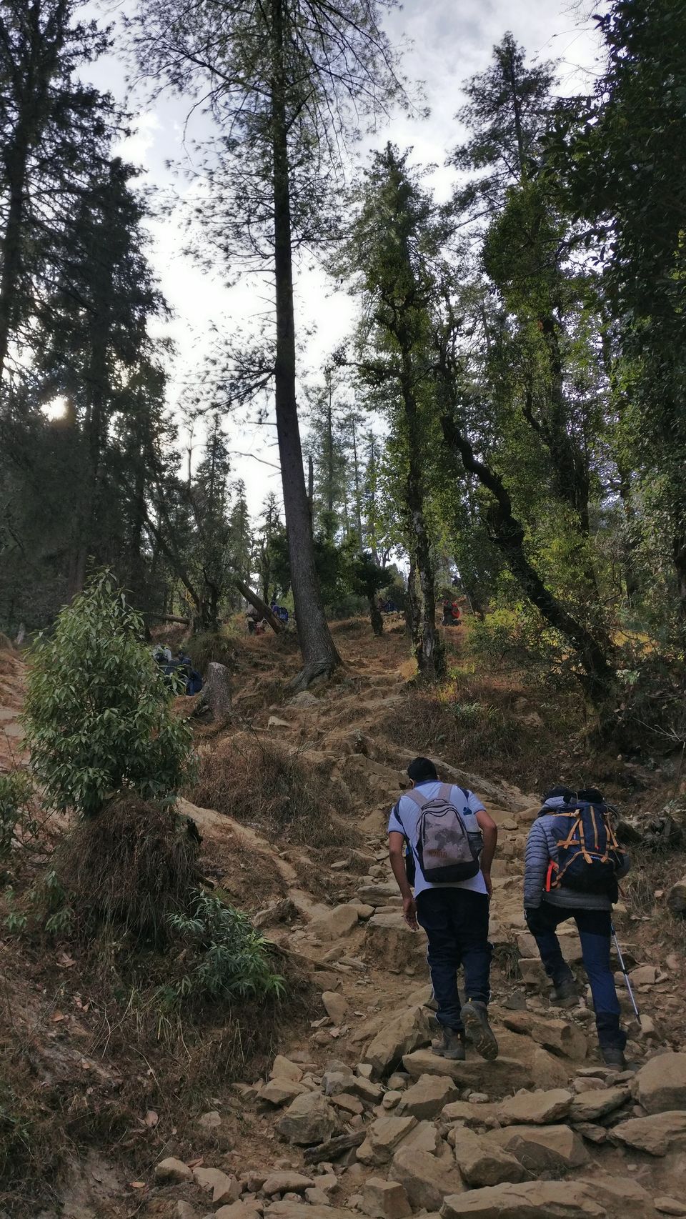 Photo of Trek to KEDARKANTHA - The White Heaven 17/61 by Krishnendu Ghosh