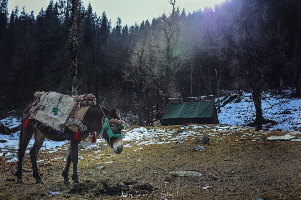 Photo of Trek to KEDARKANTHA - The White Heaven 13/61 by Krishnendu Ghosh