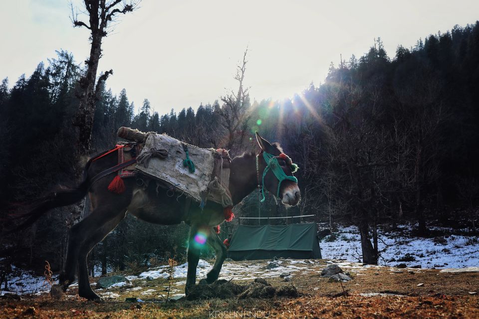 Photo of Trek to KEDARKANTHA - The White Heaven 14/61 by Krishnendu Ghosh