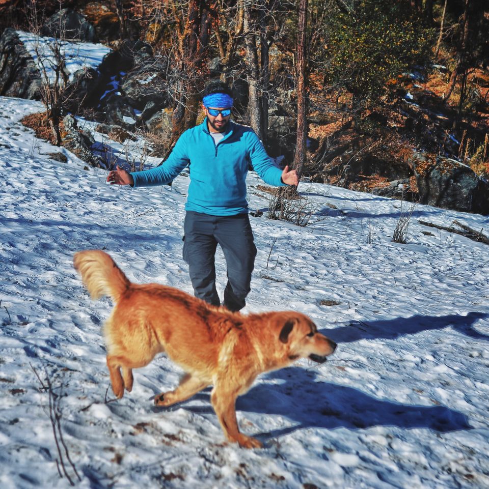 Photo of Trek to KEDARKANTHA - The White Heaven 20/61 by Krishnendu Ghosh