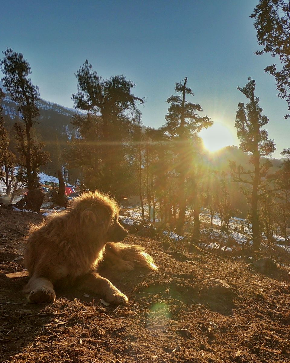 Photo of Trek to KEDARKANTHA - The White Heaven 33/61 by Krishnendu Ghosh