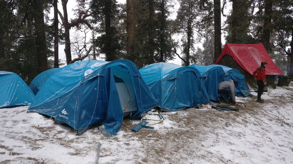 Photo of Trek to KEDARKANTHA - The White Heaven 53/61 by Krishnendu Ghosh