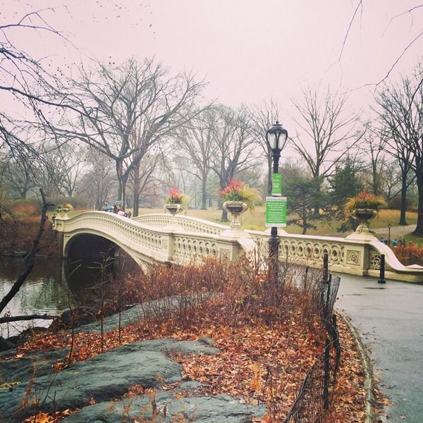 Photo of Top 10 things to do in New York City: Comprehensive trip report 91/126 by stevan.noronha