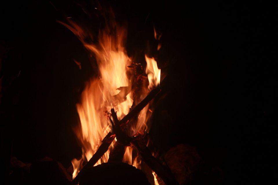 Photo of Island Camping at Bhandardara 16/16 by Rohan Mungekar