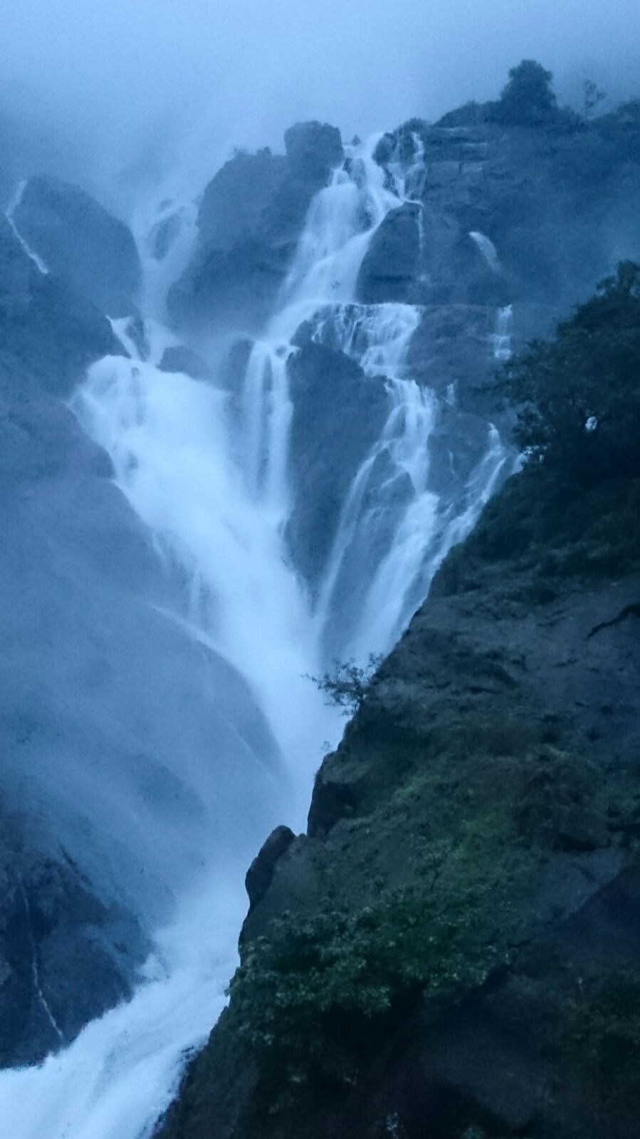 Photo of Dudhsagar Waterfalls – The Wild White Beauty 5/10 by Rohan Mungekar