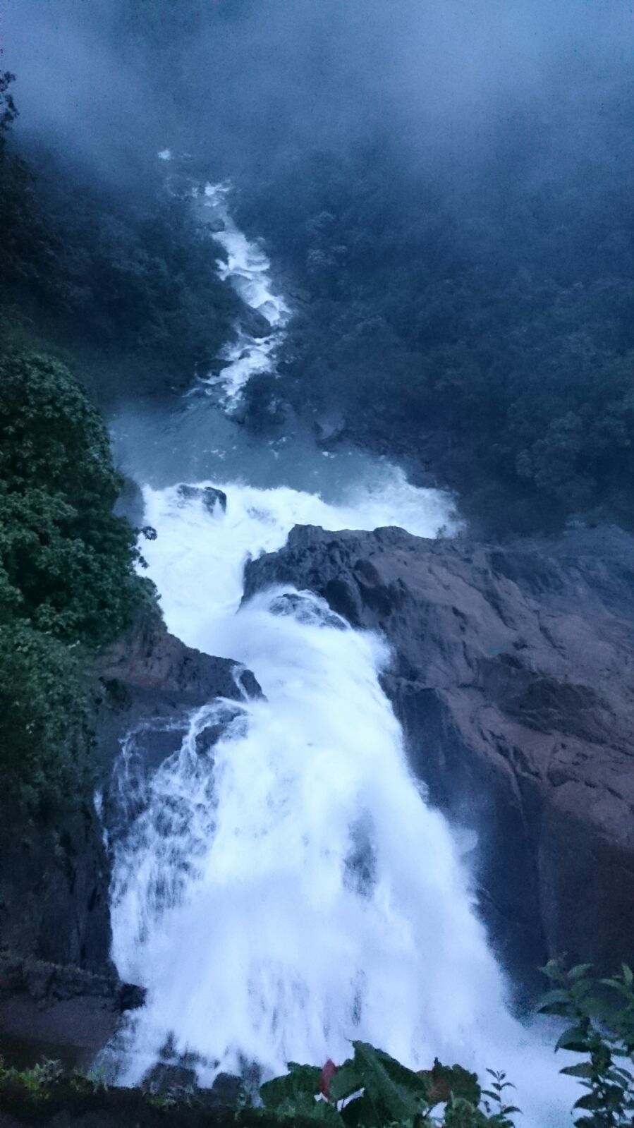 Photo of Dudhsagar Waterfalls – The Wild White Beauty 6/10 by Rohan Mungekar