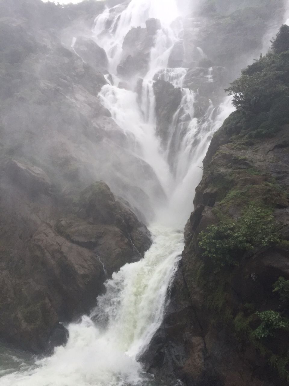 Photo of Dudhsagar Waterfalls – The Wild White Beauty 8/10 by Rohan Mungekar