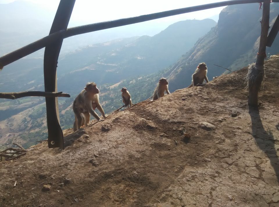 Photo of Conquering the Dream-Kalsubai Trek 5/14 by Rohan Mungekar