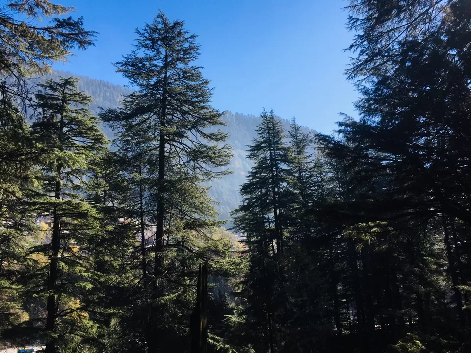 Photo of Siyal,Manali by Abhishek Chauhan