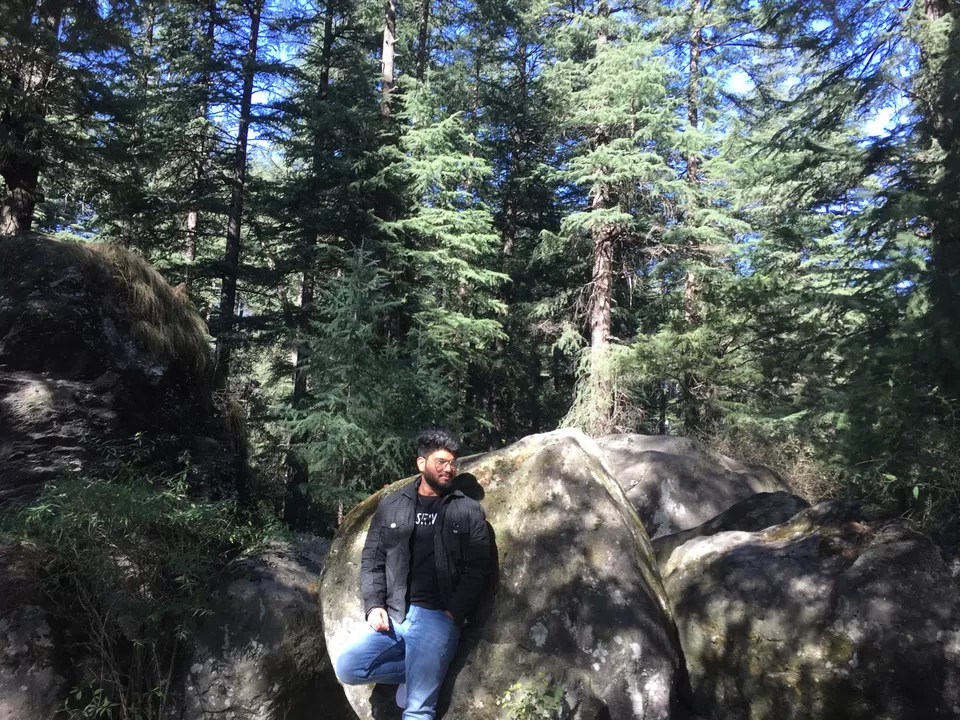 Photo of Siyal,Manali by Abhishek Chauhan