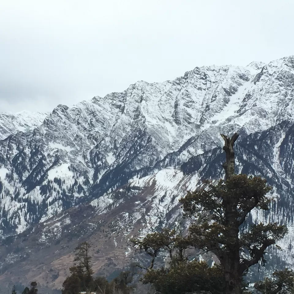 Photo of Himachal Pradesh by Abhishek Chauhan