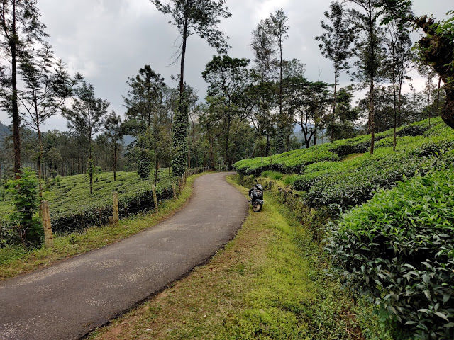 Photo of Four girls for Fun - Chikmagalur Bike Trip :) by sindhu bijjal