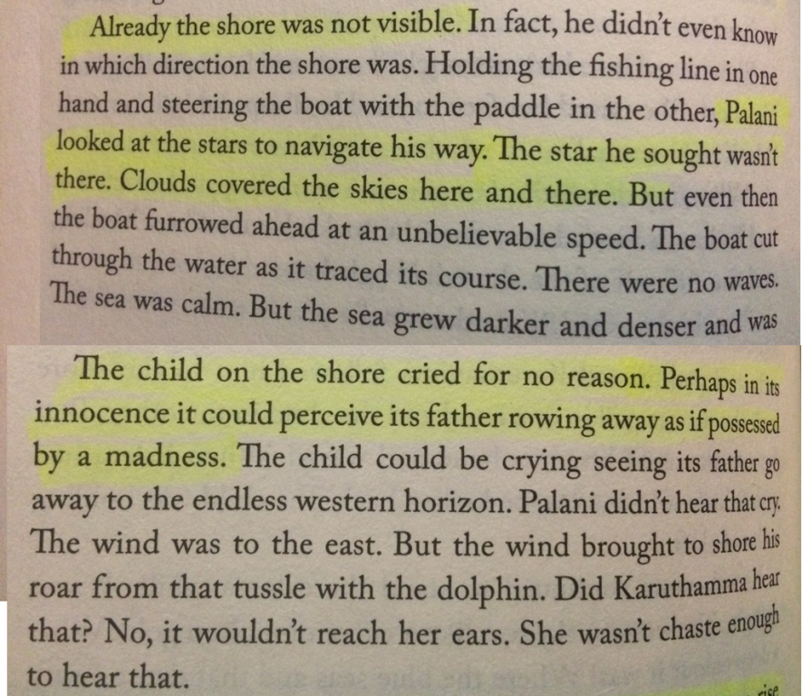 Photo of #SwipeRightToTravel - The Young Man and the Sea 12/13 by Nico Enoch