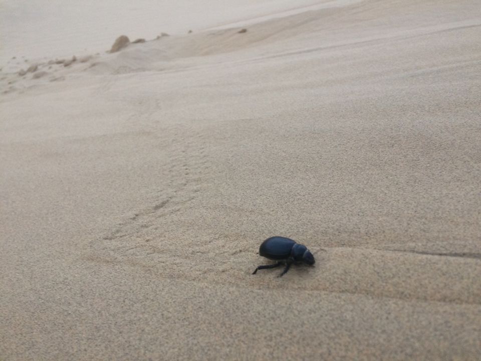 Photo of Five simple experiences in Jaisalmer 8/9 by Nico Enoch