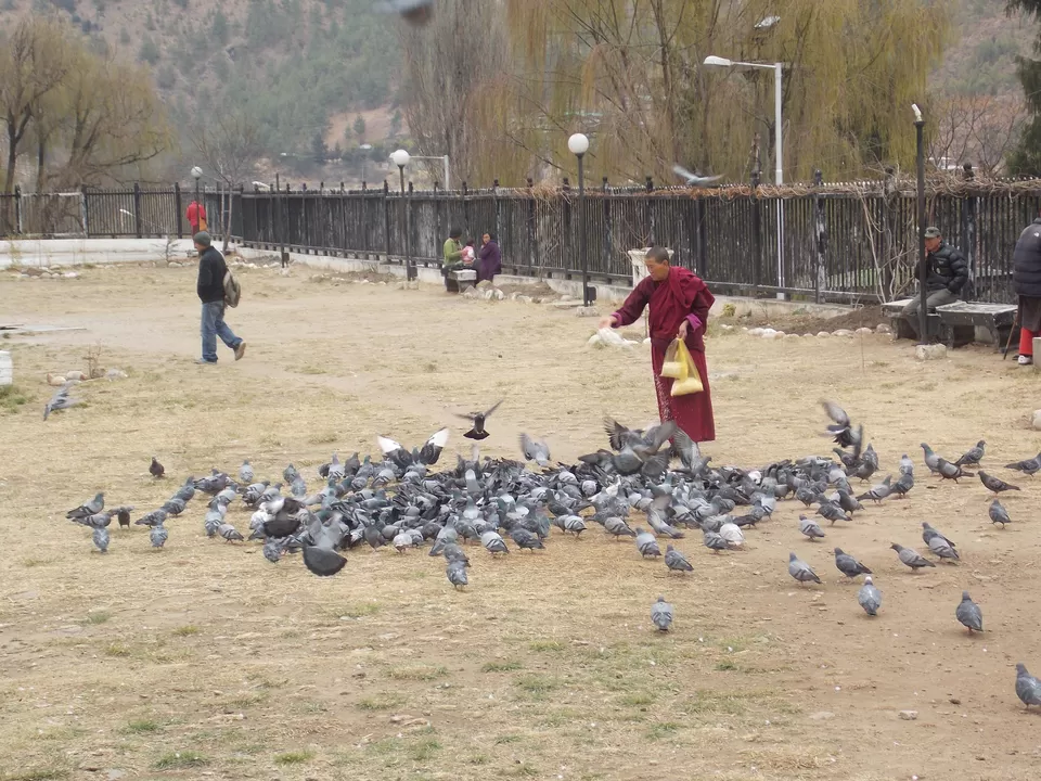Photo of Thimphu, Bhutan by Amoul Singhi