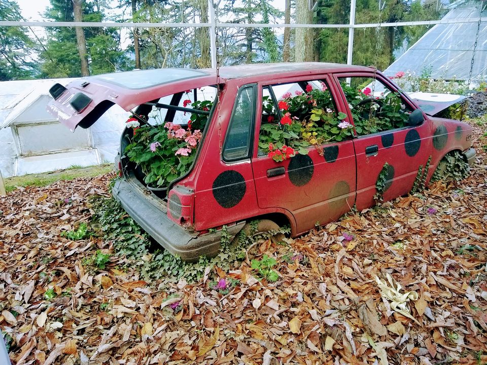 Photo of Company Garden, bazar Road, Landour, Mussoorie, Uttarakhand, India by Chayan Bhattacharya