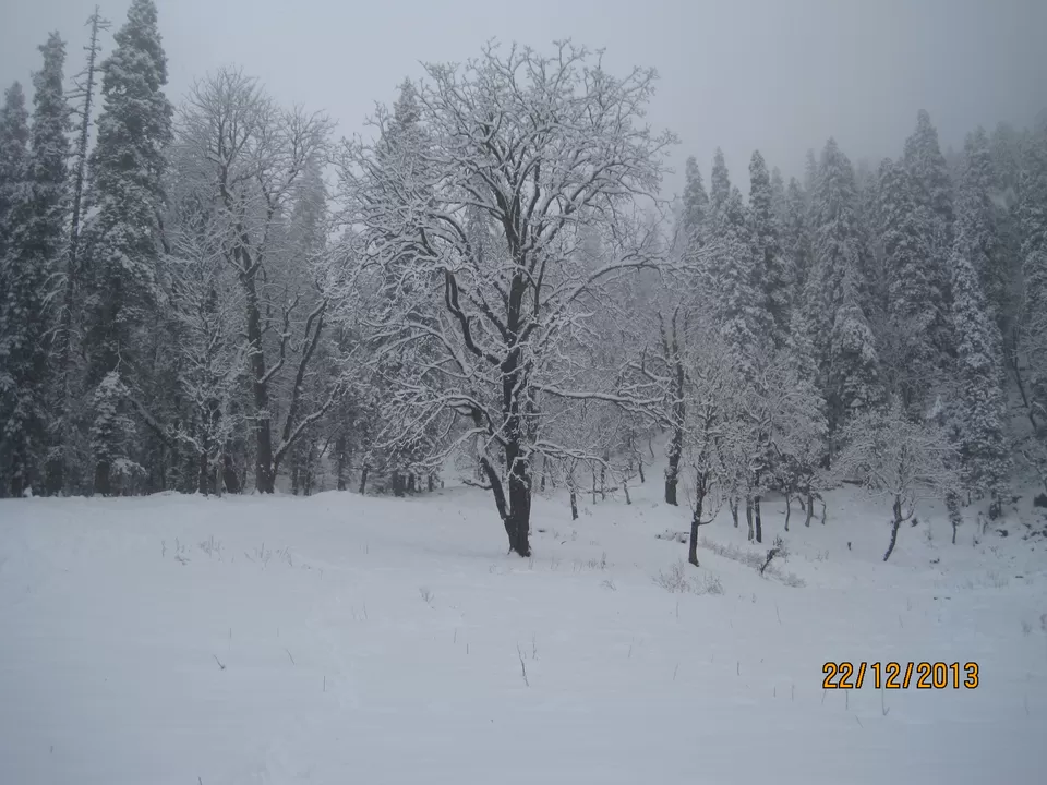 Photo of Sankri, Uttarakhand, India by Meghna Lowalekar