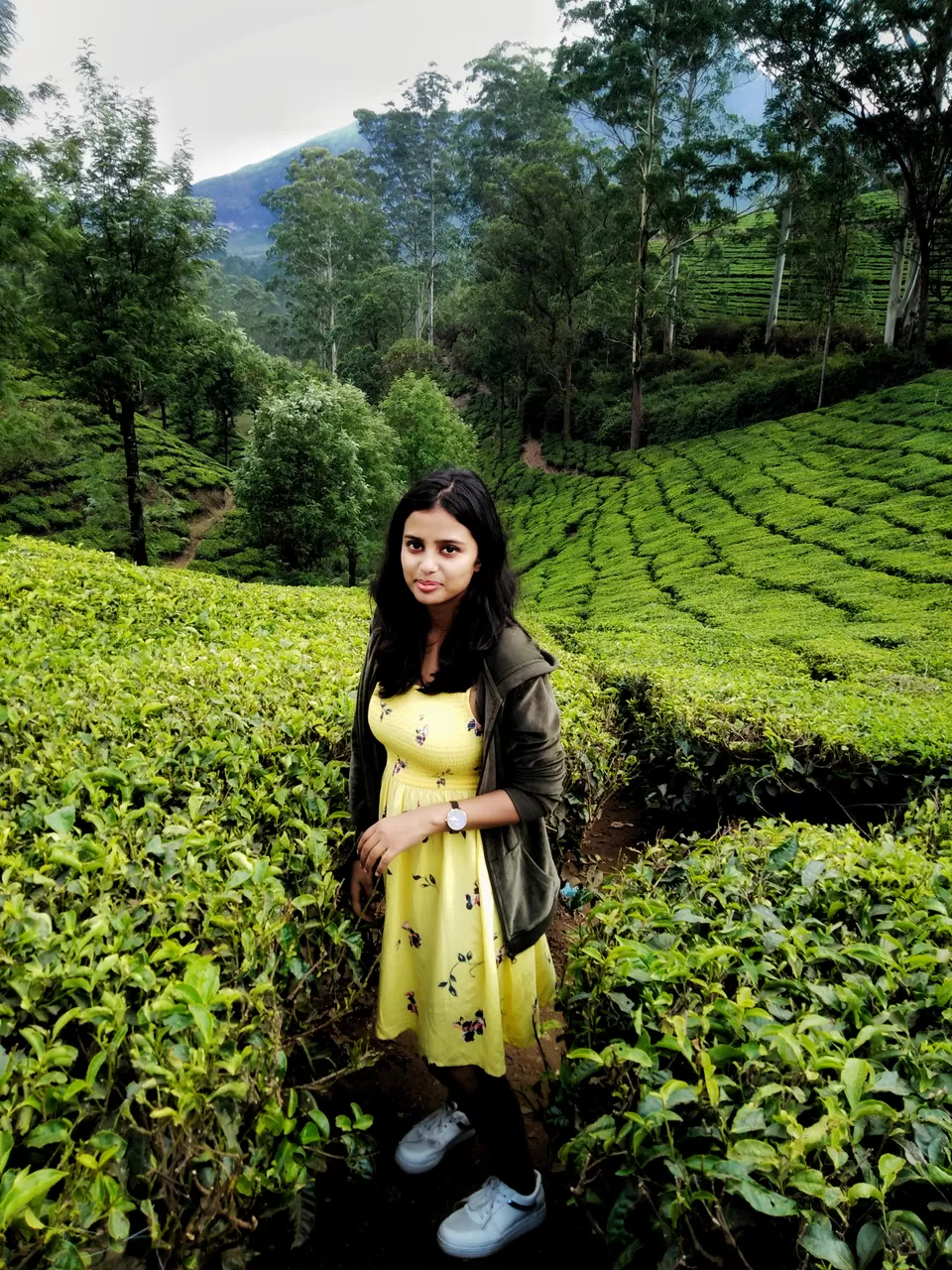 Photo of Photo point, Ikka Nagar, Munnar, Kerala, India by Rupali Sawla