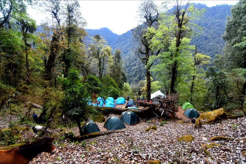 Photo of Goecha La Trek By Abhik Ghosh