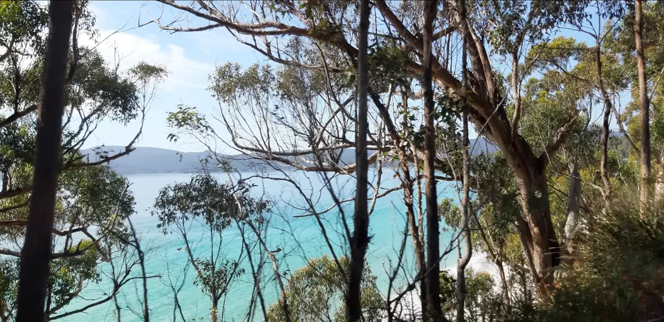 Photo of Untouched Tasmania by Prakruti Pandya
