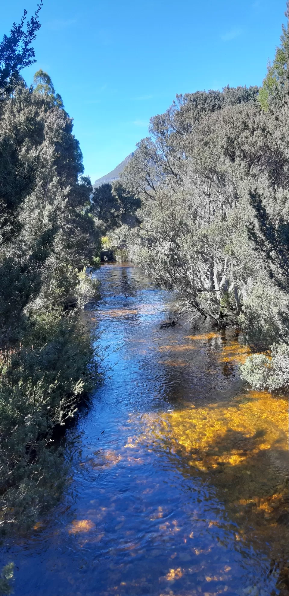 Photo of Untouched Tasmania by Prakruti Pandya