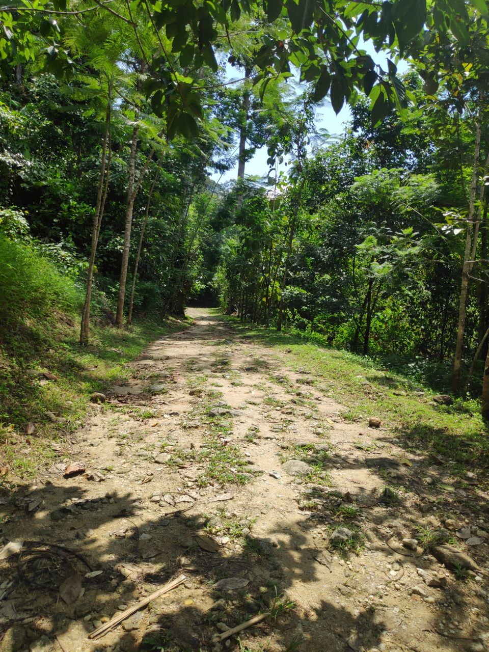 Photo of Khao Lak Thailand, A relaxing family holiday! by Kanupriya