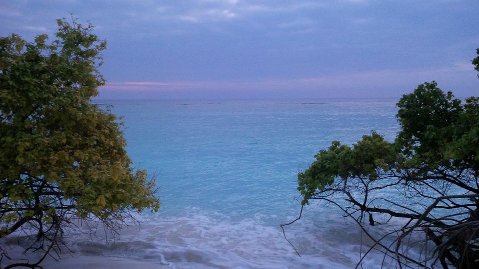 Photo of Memoirs of our trip to Lakshadweep by singhkanupriya