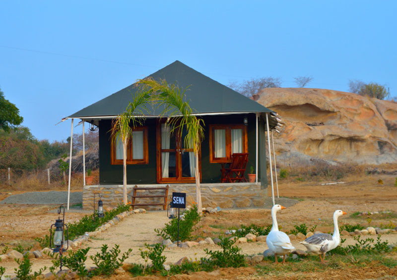 Photo of Top 5 Luxury Resorts in Rajasthan 1/1 by poonam diwakar