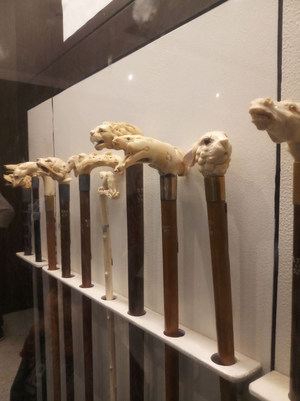 Photo of Salar Jung Museum, Salar Jung Road, near Minar Function Hall, Darulshifa, Hyderabad, Telangana, India by Adarshjit Das