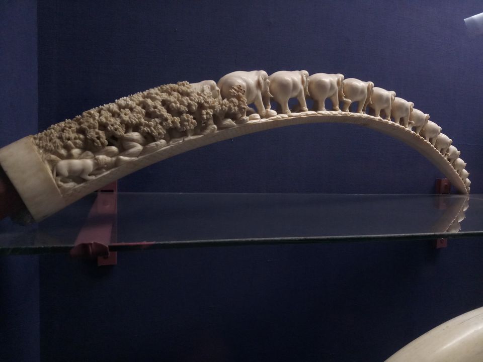 Photo of Salar Jung Museum, Salar Jung Road, near Minar Function Hall, Darulshifa, Hyderabad, Telangana, India by Adarshjit Das