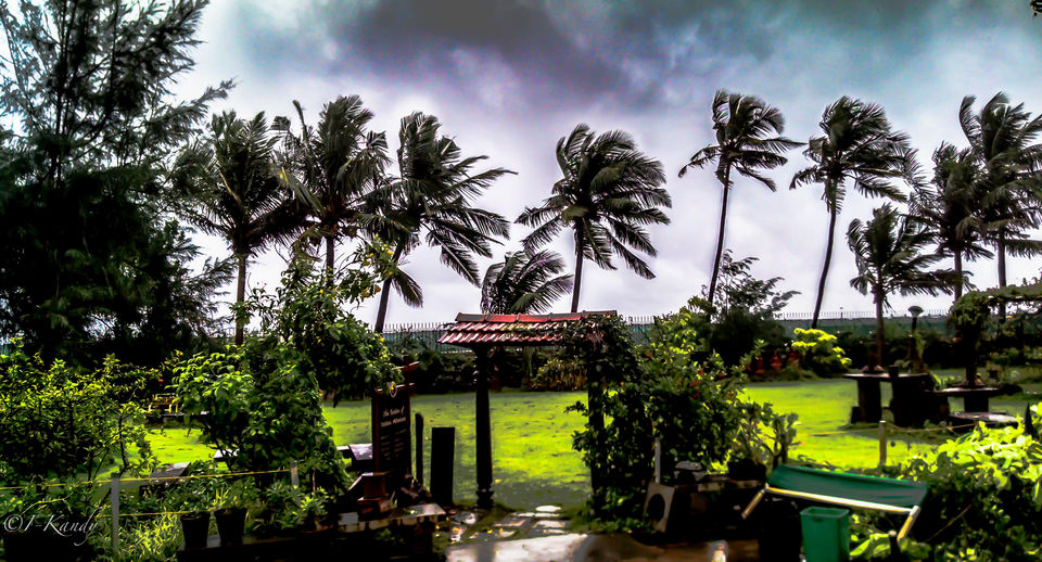 Photo of Untold India – Strolling through White Town, Pondicherry 9/12 by Krisha Chakraborty