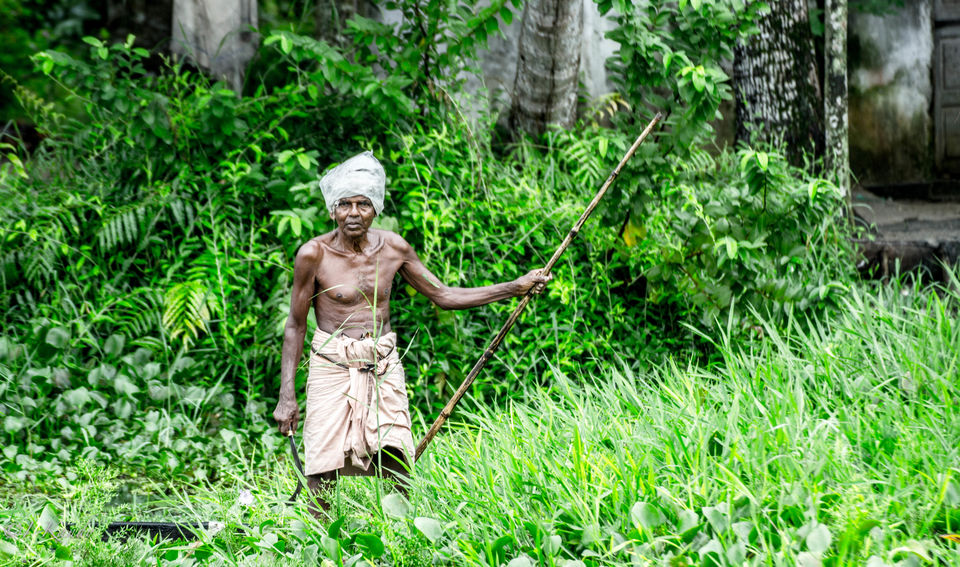 Photo of Pocket-friendly cruise in Kerala backwaters 3/8 by Krisha Chakraborty