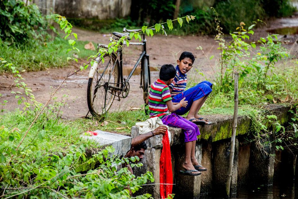 Photo of Pocket-friendly cruise in Kerala backwaters 5/8 by Krisha Chakraborty