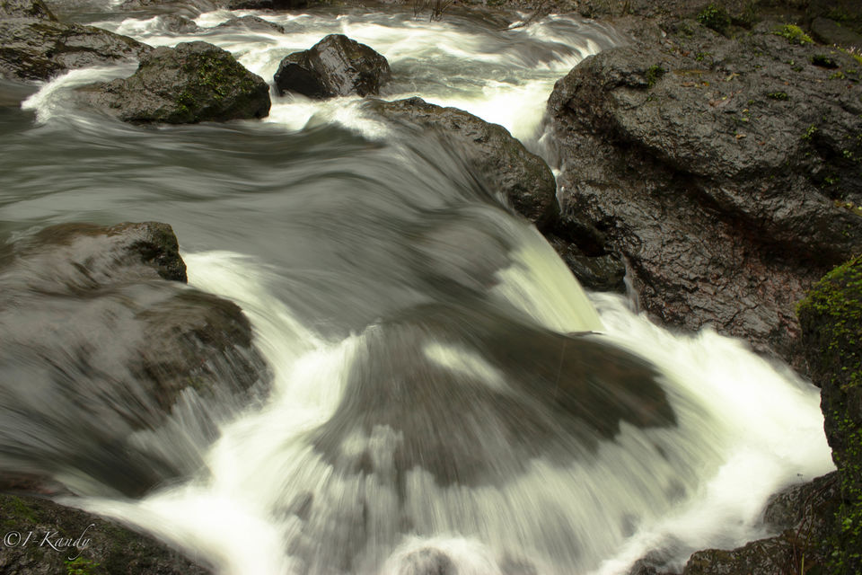 Photo of Hidden Gems: Experience The Feels Of Waterfalls and Rainforest in Agumbe 3/6 by Krisha Chakraborty