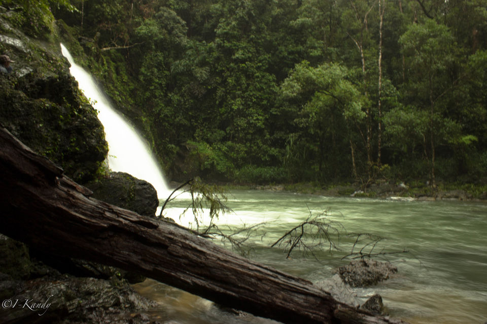 Photo of Hidden Gems: Experience The Feels Of Waterfalls and Rainforest in Agumbe 4/6 by Krisha Chakraborty