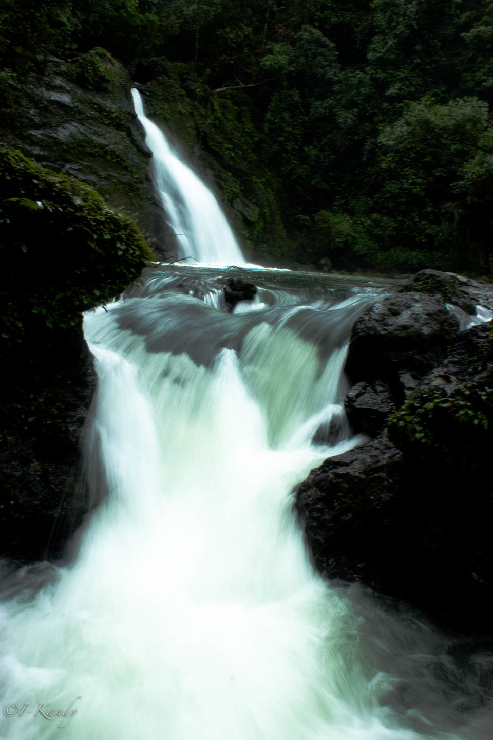 Photo of Hidden Gems: Experience The Feels Of Waterfalls and Rainforest in Agumbe 6/6 by Krisha Chakraborty