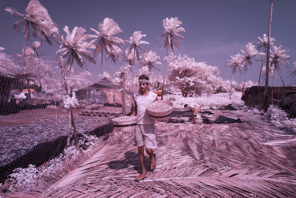 Photo of GOA - Through Photographer's Eye (Infrared Photography Series) by Nimit Nigam