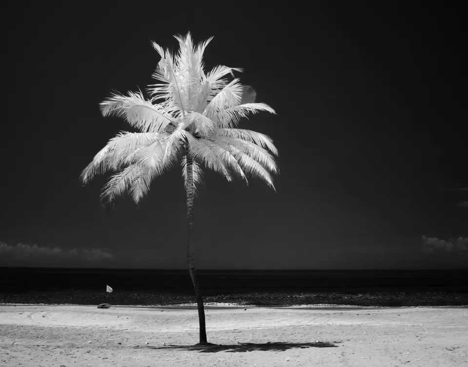 Photo of Palolem Beach, Goa, India by Nimit Nigam