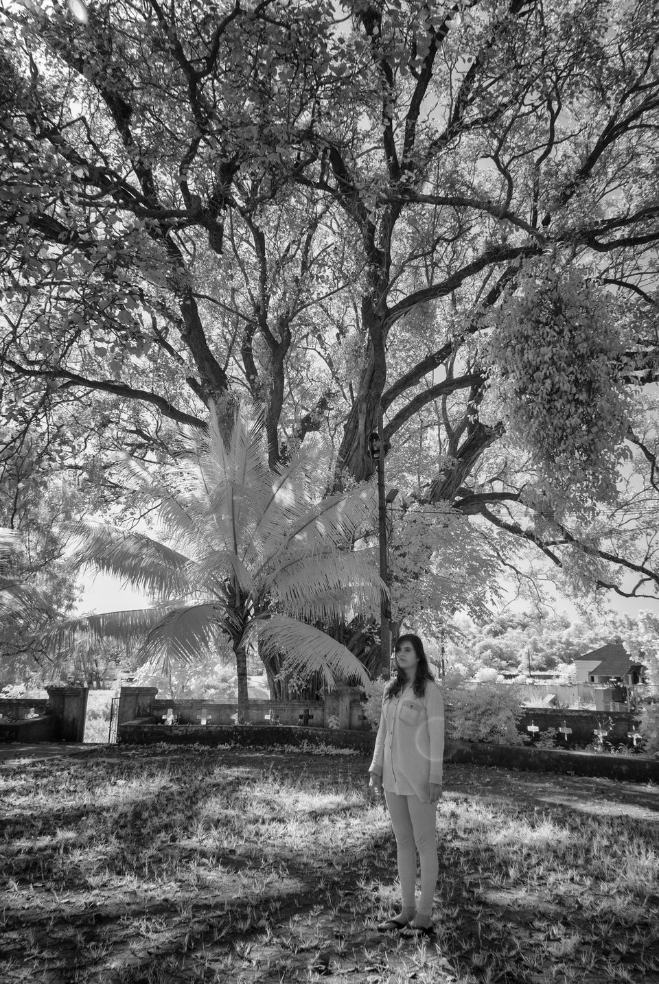 Photo of GOA - Through Photographer's Eye (Infrared Photography Series) by Nimit Nigam