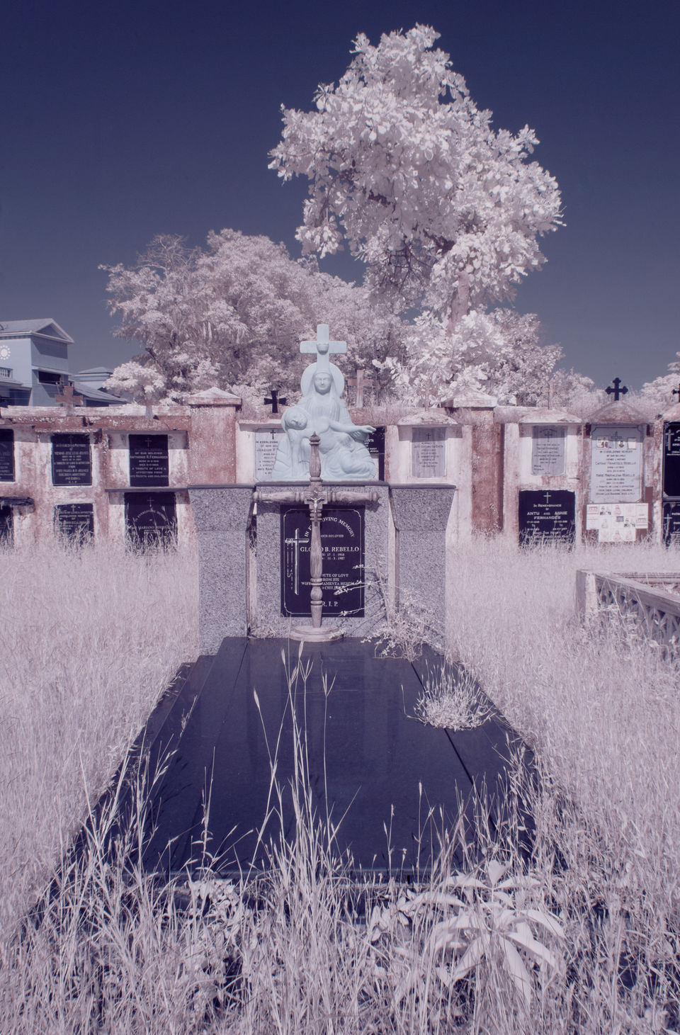 Photo of GOA - Through Photographer's Eye (Infrared Photography Series) by Nimit Nigam