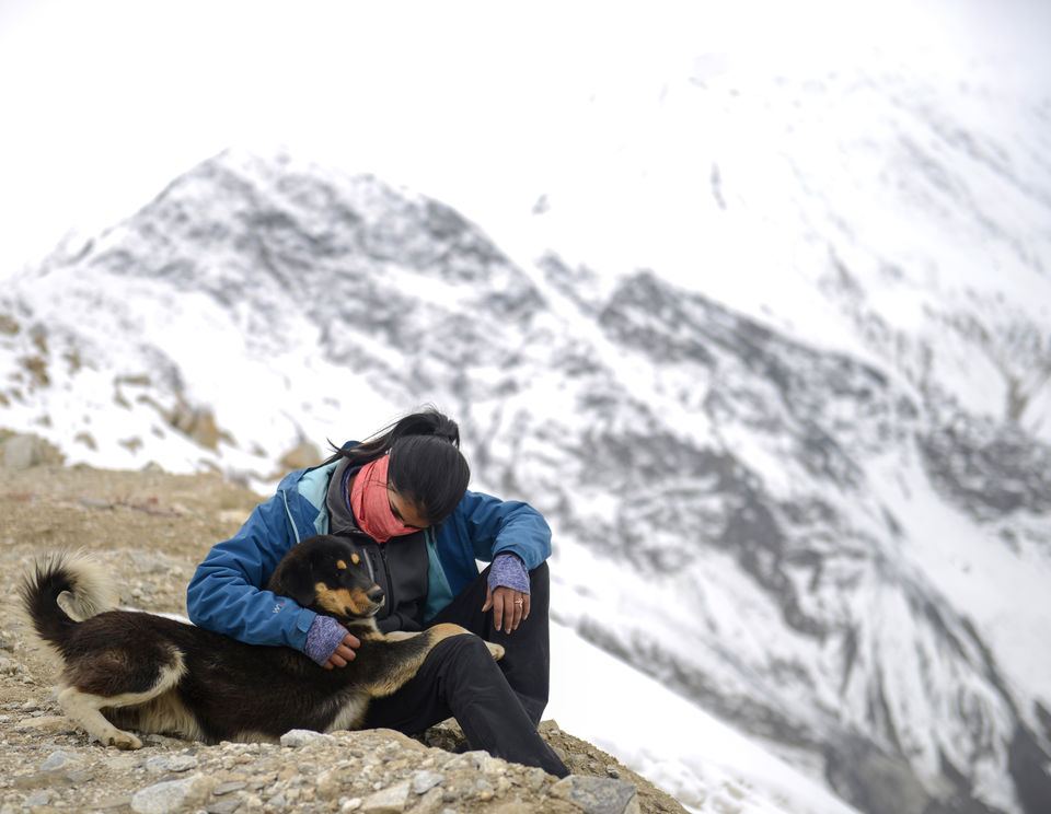 Photo of Nako, Himachal Pradesh, India by Nimit Nigam