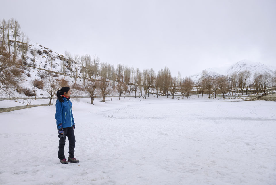Photo of Nako Lake, Himachal Pradesh by Nimit Nigam