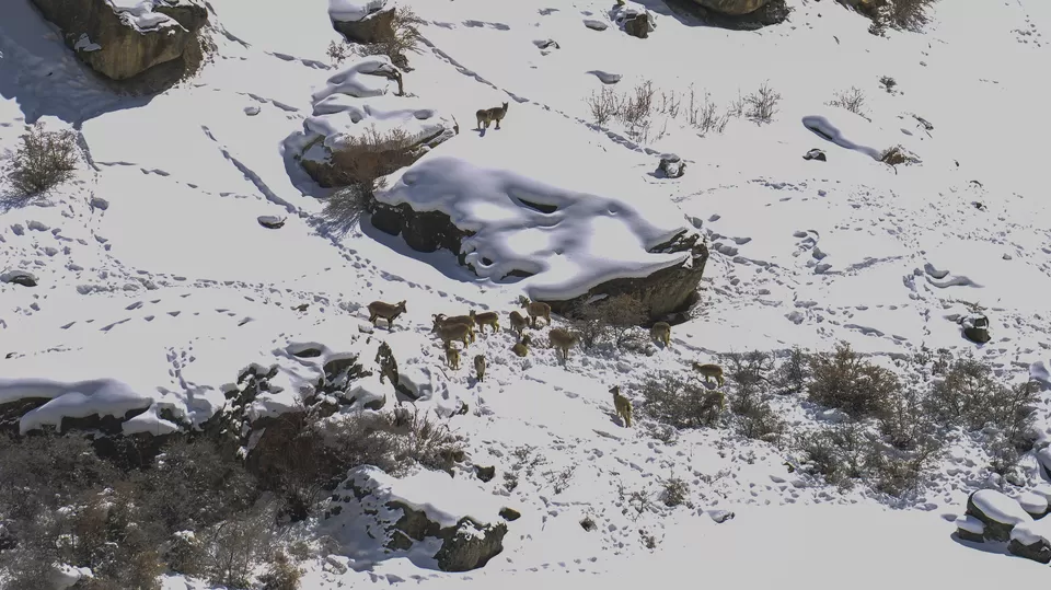 Photo of Spiti, Himachal Pradesh by Nimit Nigam