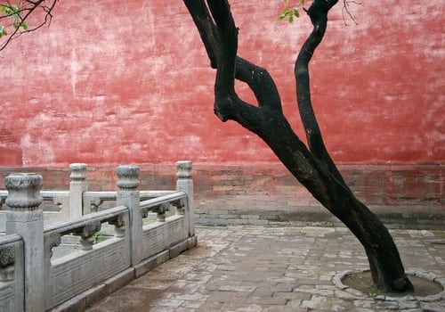 Photo of Interesting Forbidden City Facts – 5 Of the Best! 4/6 by william barry