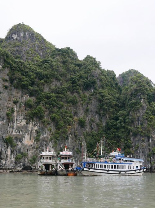 Photo of Interesting Facts about Halong Bay –Let’s Go Off on a Cruise! 4/6 by william barry