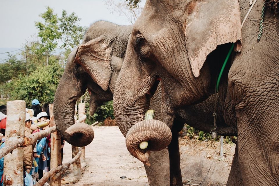 Photo of Interesting facts about Laos that will surprise you – A simply beautiful country! 3/5 by william barry