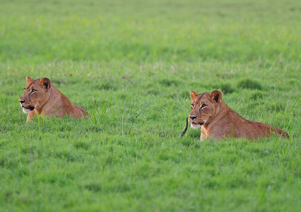 Photo of Adventures in Mozambique Off the Beaten Track – Enriching & Exciting Escapades! 2/5 by william barry